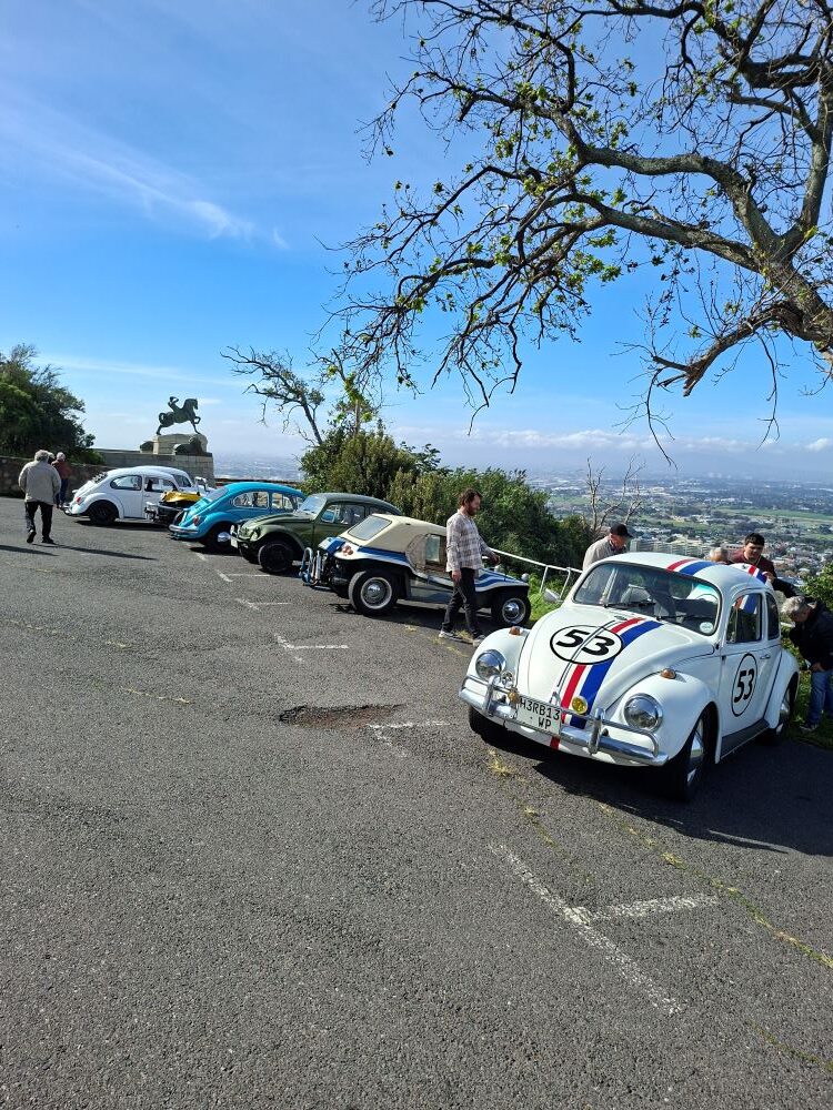 Club members parked up at Rhodes Memorial enjoying the scenic view with a line of classic VW Beetles and beach buggies.