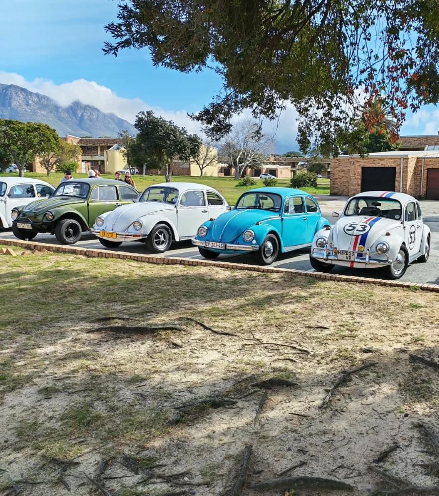 A lineup of classic air-cooled VW Beetles and a Baja Bug parked at the Pollsmoor brunch stop during the From Bars to Battleships run.
