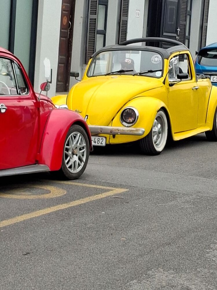 Alt Text: A line of brightly colored classic VW Beetles parked outside along the curb during the club outing.