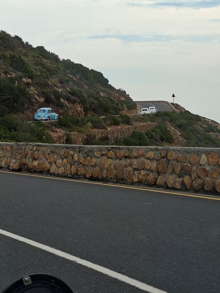 Classic cars driving along the winding coastal road of Clarence Drive during the club cruise.