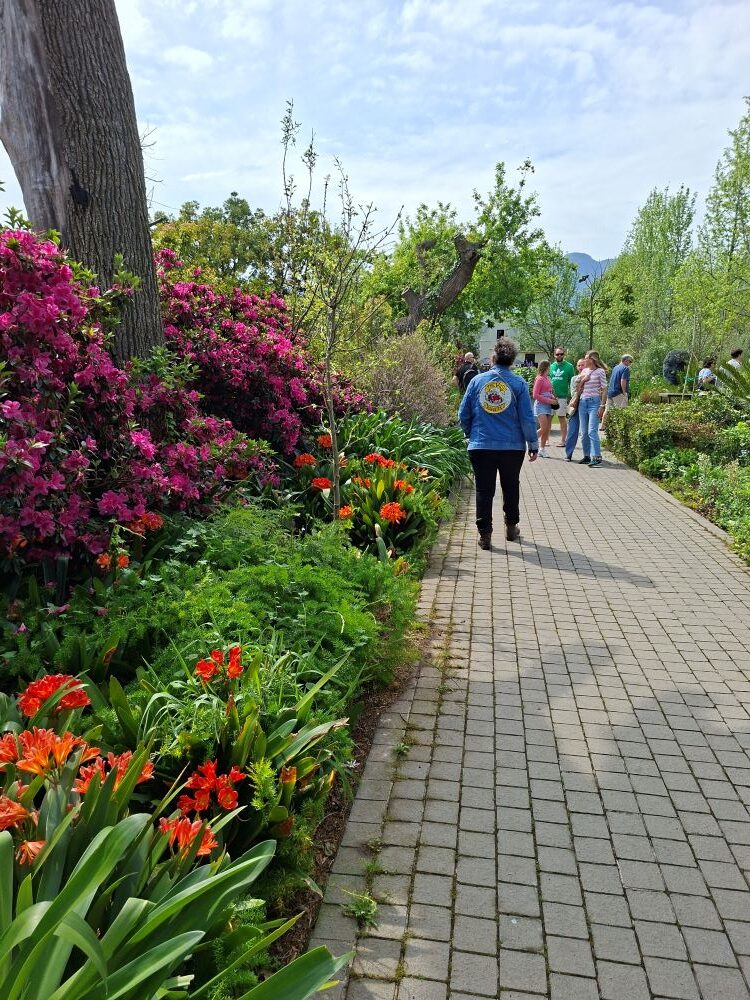 Club members walking along a paved garden pathway lined with vibrant flowering bushes and lush greenery during the estate stop.