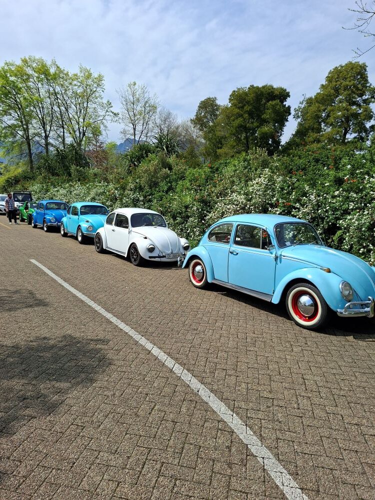 A line of classic air-cooled VW vehicles parked in a paved lot as the club prepares to head out from the stop.