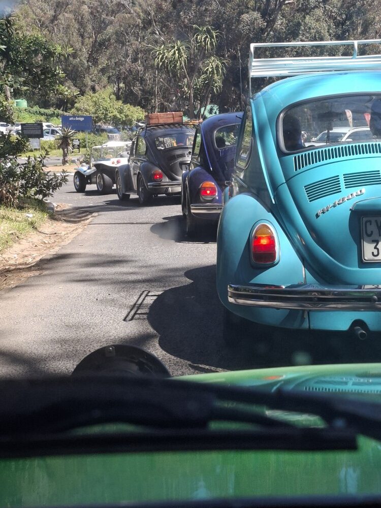 A line of classic air-cooled VW Beetles and beach buggies driving in convoy down a shaded road.