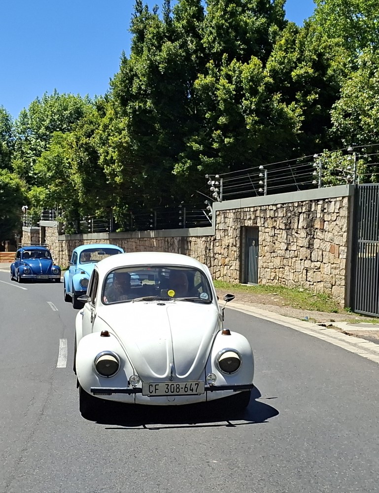 Bertus Visser driving his white classic VW Beetle leading a convoy of vintage cars along a sunny paved road.