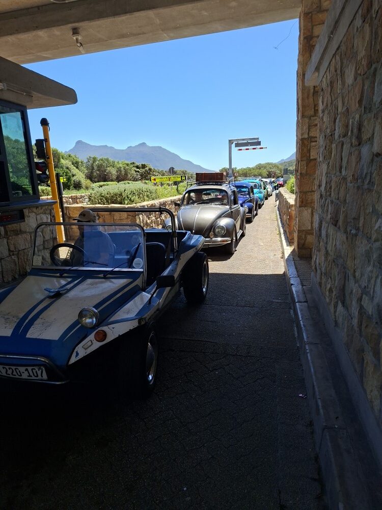 A blue and white beach buggy and classic VW Beetles lined up at the stone Chapman's Peak tollgate plaza under a clear blue sky.