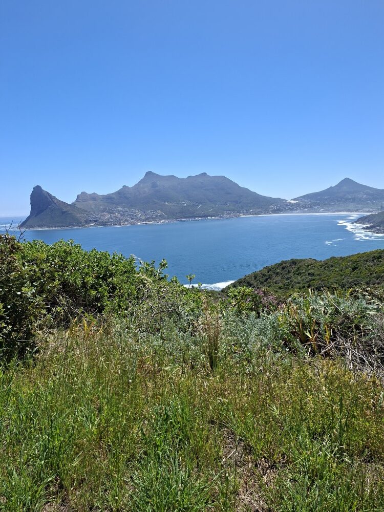 Panoramic scenic view of Hout Bay coastal bay and surrounding green mountain peaks under a clear blue sky.