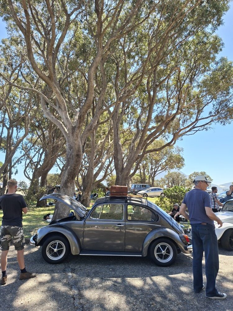 Viv Reyneke's metallic gunmetal grey classic VW Beetle with open front trunk and vintage roof luggage parked under large trees.