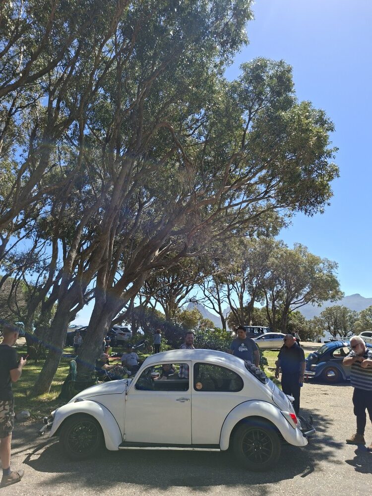 Bertus Visser's white vintage VW Beetle parked under tall shady trees at a mountain picnic lookout area.