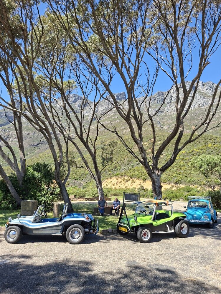 Two customized beach buggies and a turquoise classic VW Beetle parked beneath large shade trees with mountain peaks in the background.