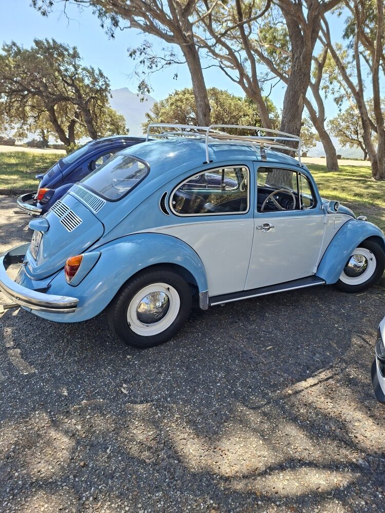 A two-tone light blue and grey classic air-cooled VW Beetle with a white roof rack parked in the shade at a scenic picnic site.