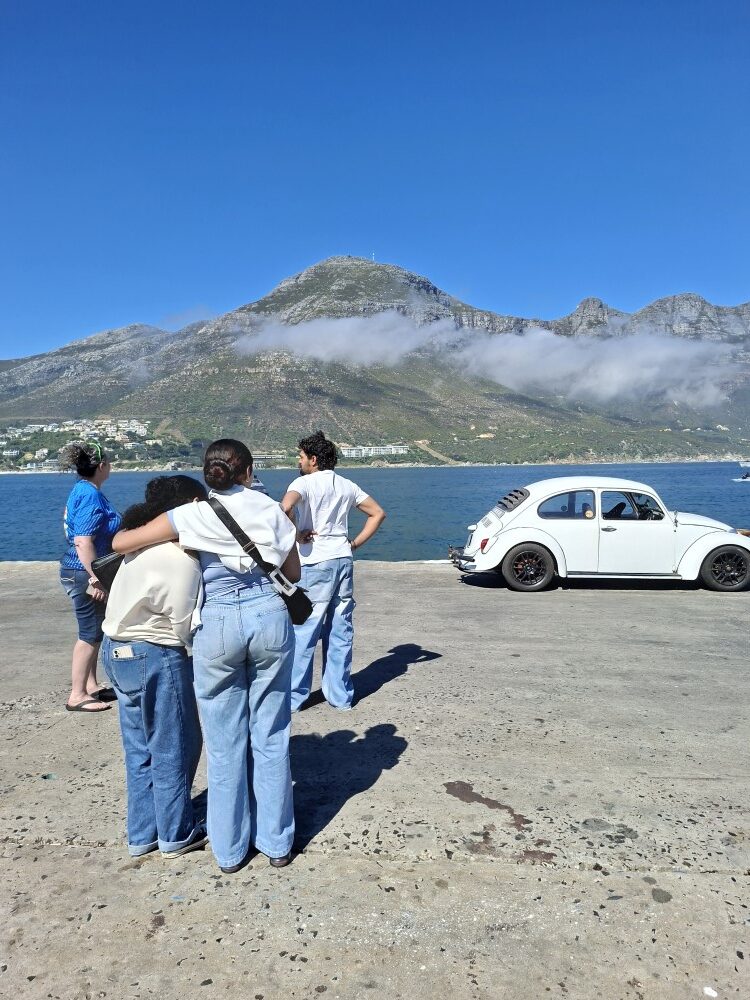 A group of club members standing on the concrete harbour pier looking across the ocean towards mountain peaks next to a white classic VW Beetle.