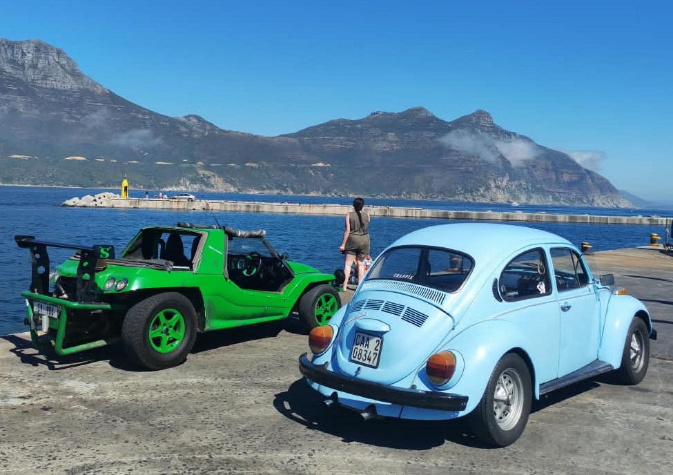 A bright green custom beach buggy and a light blue classic air-cooled VW Beetle parked on a harbour wharf with mountain views.